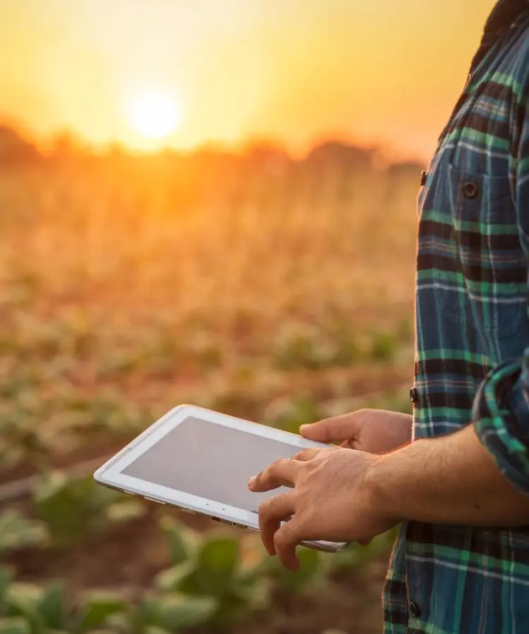 Persona con tablet en la mano en un campo reflejando el servicio de asesoramiento