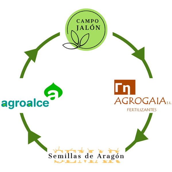 Diagrama del grupo AACS: Agrogagia, Agroalce y Semillas de Aragón