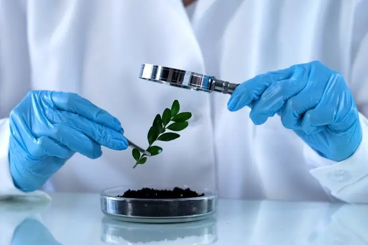 Analisis de agroquimicos