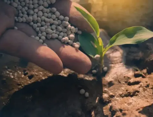 Fertilizante agrícola: Todo lo que necesitas saber