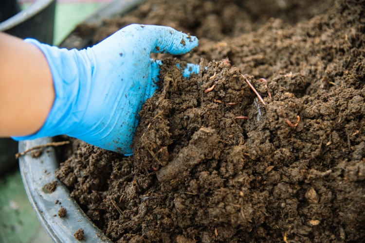 Tierra con fertilizante orgánico