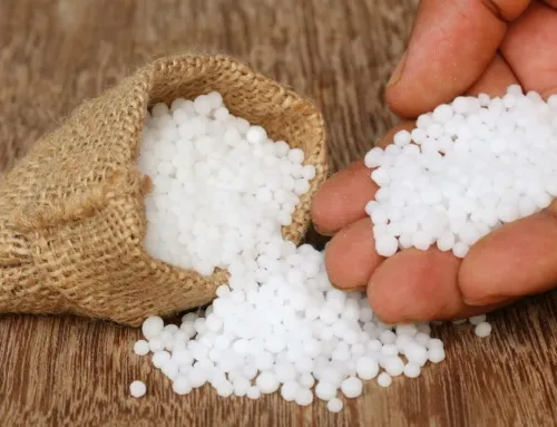 Fertilizante Urea: Cómo aplicarlo en tus cultivos