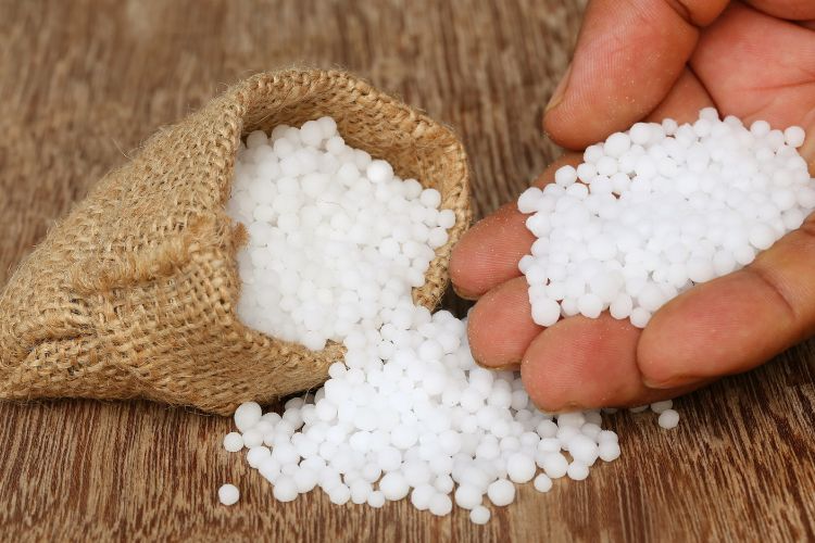 Fertilizante urea para cultivos