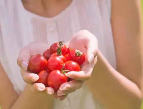 Fertilizante para tomates ¿cual es el mejor ?