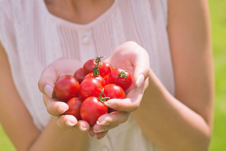 Chica sosteniendo tomates en su mano que crecieron gracias a los fertilizantes para tomates