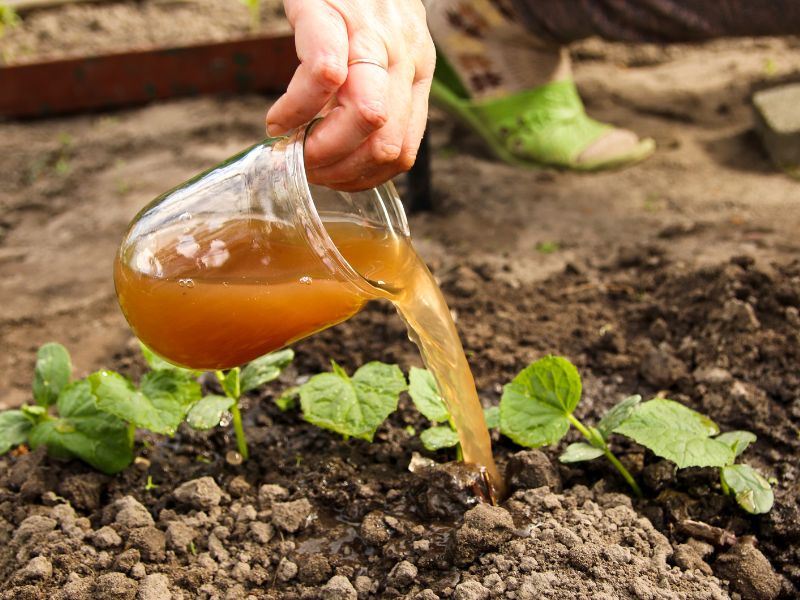 fertilizantes naturales campo