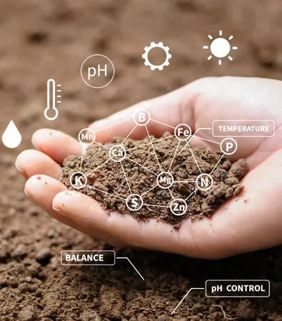 Fertilizantes para cereales. Mano sosteniendo tierra y símbolor químicos sobreimpresionados en primer plano