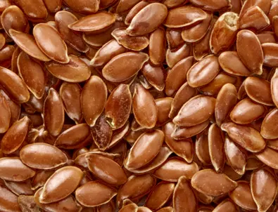Semillas de lino